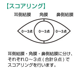 スコアリング