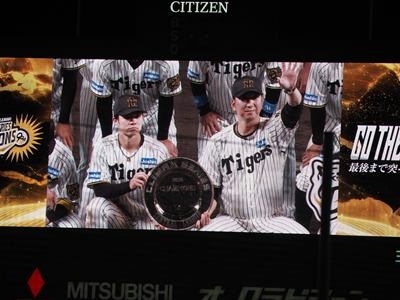 hp2025.10.17(5)