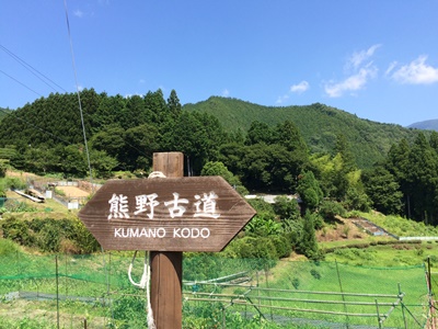 hp2016.7.21b(1)