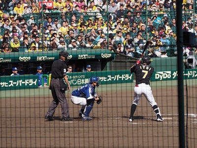 hp20174.29(1)